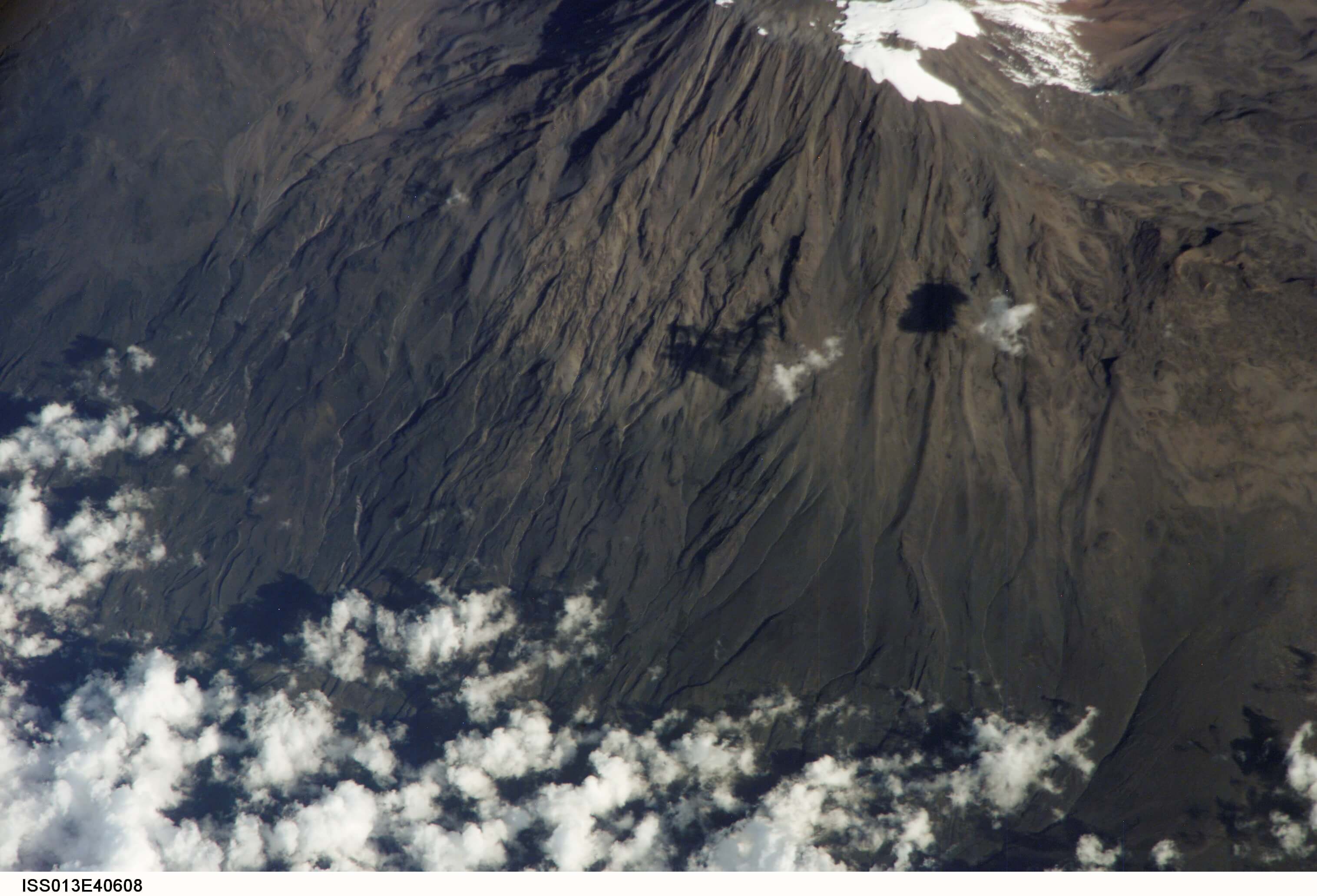 Zanzibar Revolution Day